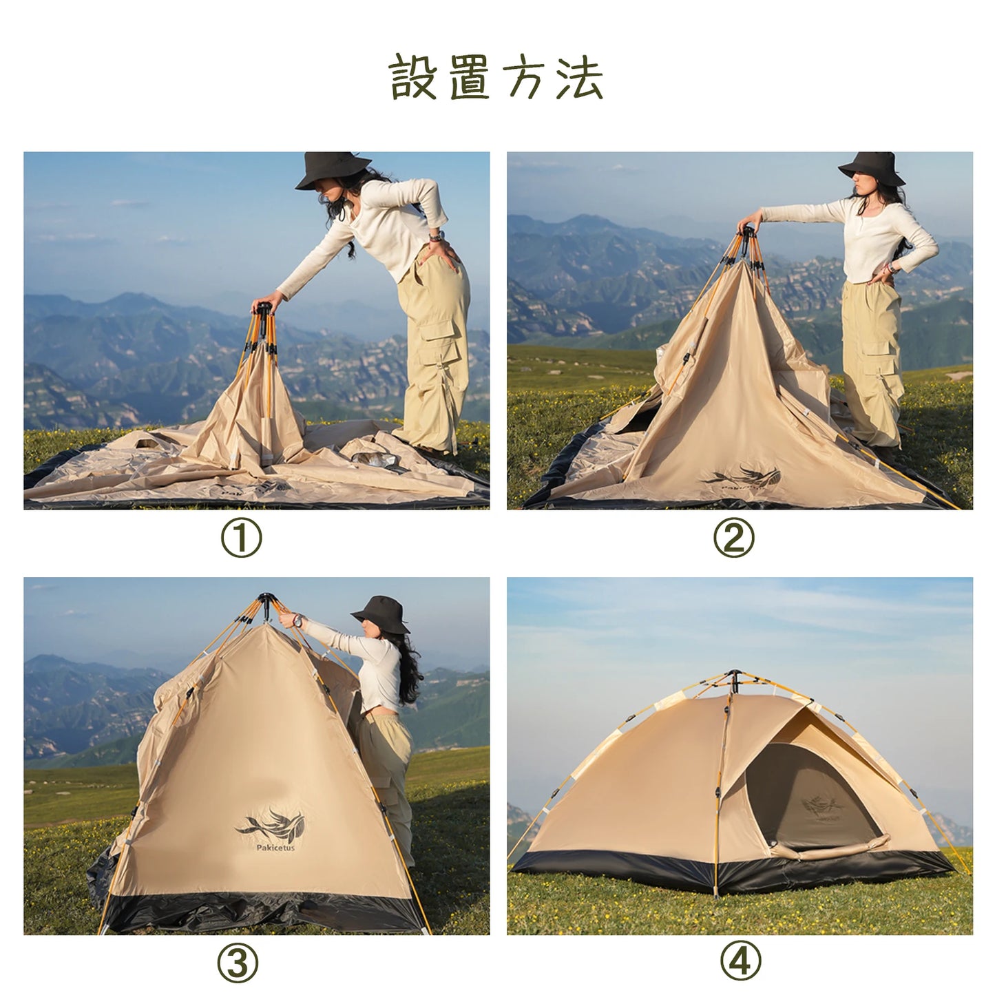 Windproof Camping Tents, 2-4 Person, Easy Set Up, Lightweight for Family Travel,