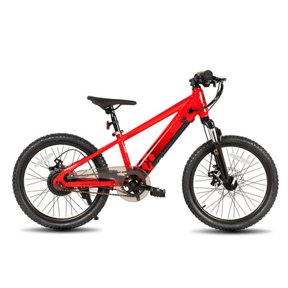 Electric Bike for Kids or Teens Ages 7+ w/ 250W Motor, 15MPH, Electric Mountain Bike