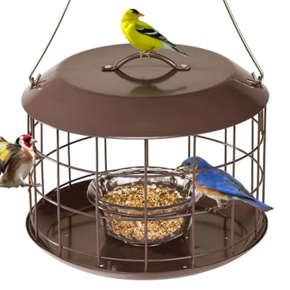 Bluebird Feeders, Outdoor Hanging Squirrel-Proof Bird Feeder