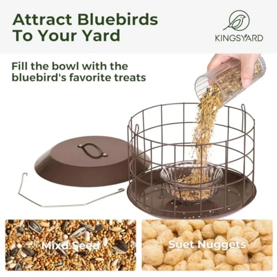 Bluebird Feeders, Outdoor Hanging Squirrel-Proof Bird Feeder
