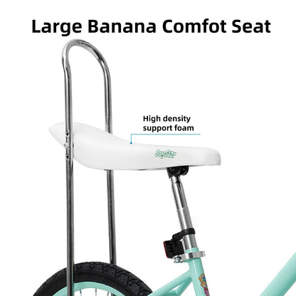 20 Inch Girls Bike w/ Training Wheels, Banana Seat, for Girls Ages 7-12 Years Old, Handbrake and Coaster Brake