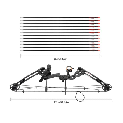 Compound Bow, Adjustable Draw Weight and Length with 3-Pin Sight, 12 Arrows Complete Set