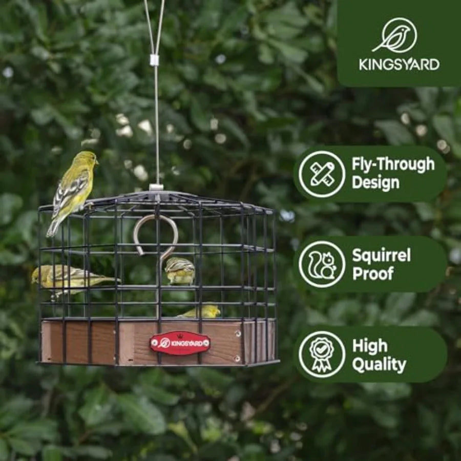 Bluebird Feeders, Outdoor Hanging Squirrel-Proof Bird Feeder