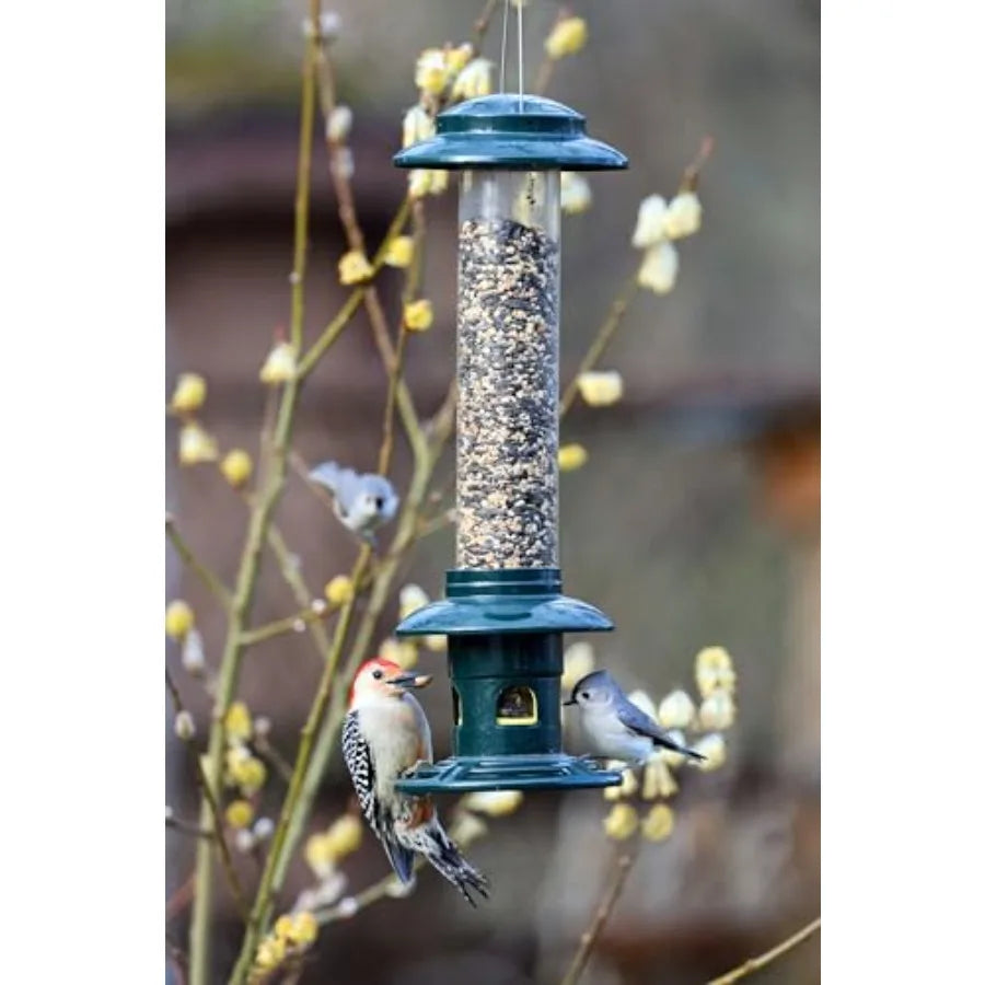 Squirrel-Proof Bird Feeder, Double Cardinal Ring 1.9-Pound Seed Capacity