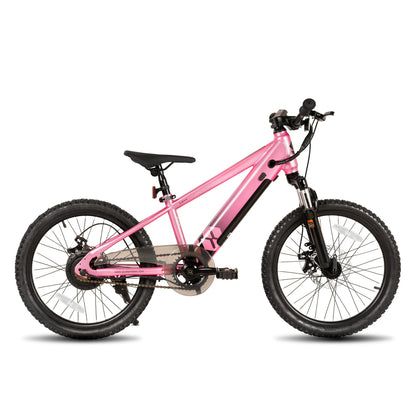 Electric Bike for Kids or Teens Ages 7+ w/ 250W Motor, 15MPH, Electric Mountain Bike