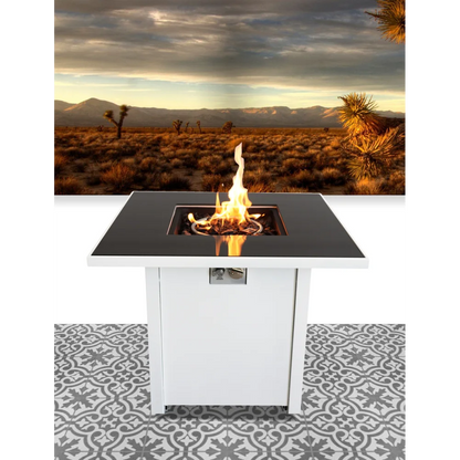 White Steel 30 Inch Propane/natural Gas Firepit Table