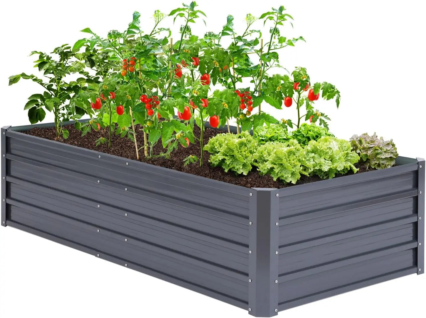 Galvanized Steel Raised Garden Bed 6x3x1.5 FT, Rustproof, Heavy Duty Planter Box, Vegetables, Flowers, Herbs
