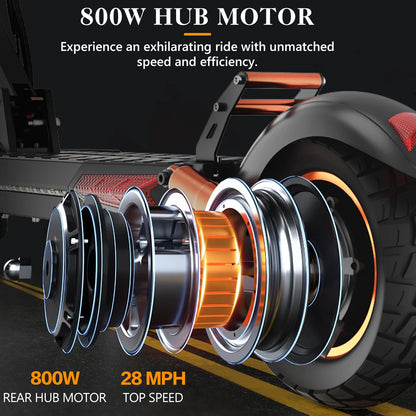 Electric Scooter, 800W Motor 48V, 12.5AH Battery, 10"Tire, Max 40-50KM Range, Disc Brake, LCD Display