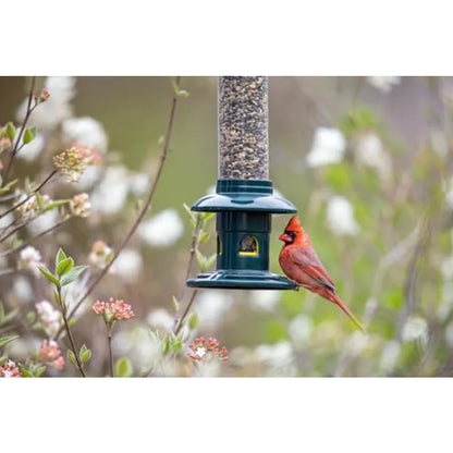 Squirrel-Proof Bird Feeder, Double Cardinal Ring 1.9-Pound Seed Capacity