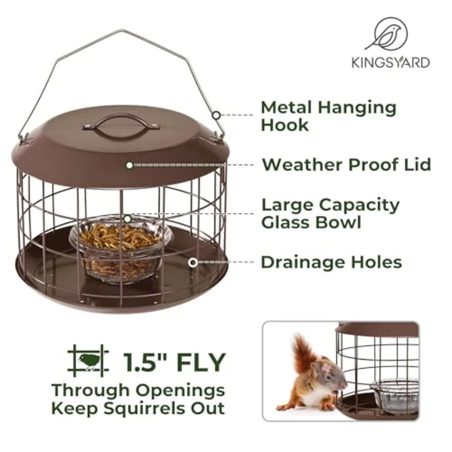 Bluebird Feeders, Outdoor Hanging Squirrel-Proof Bird Feeder
