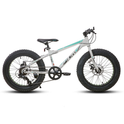 20 Inch Kids' Bicycles, Fat Tire Mountain Bike for Age 5 + Years, 7-Speed, Dual-Disc Brake